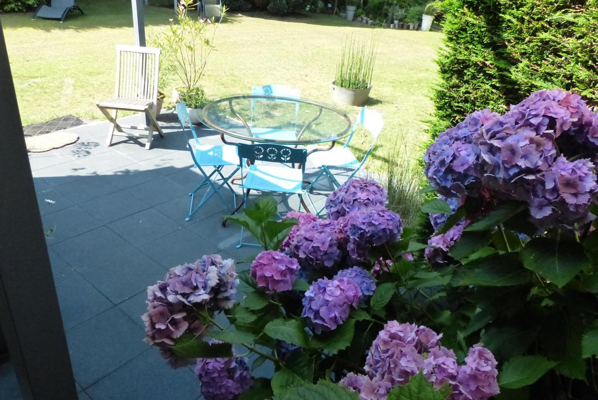Bed and Breakfast Ailes et Iles à Pleudaniel Extérieur photo